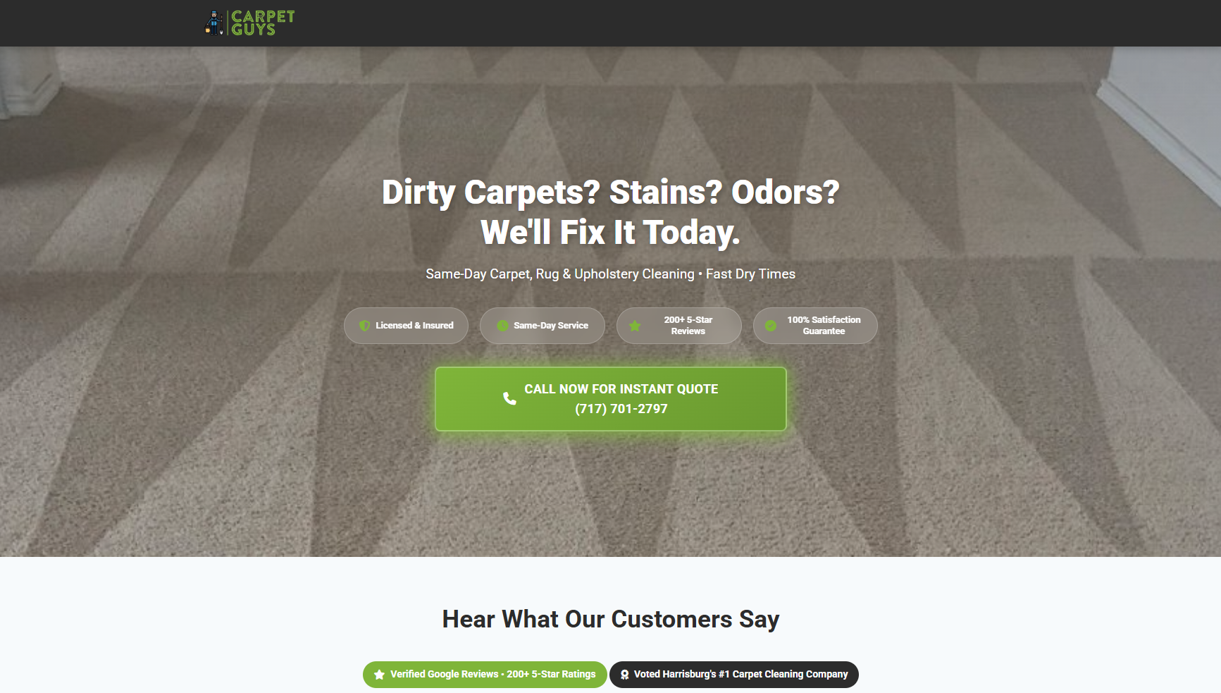 Carpet Guys PA project screenshot