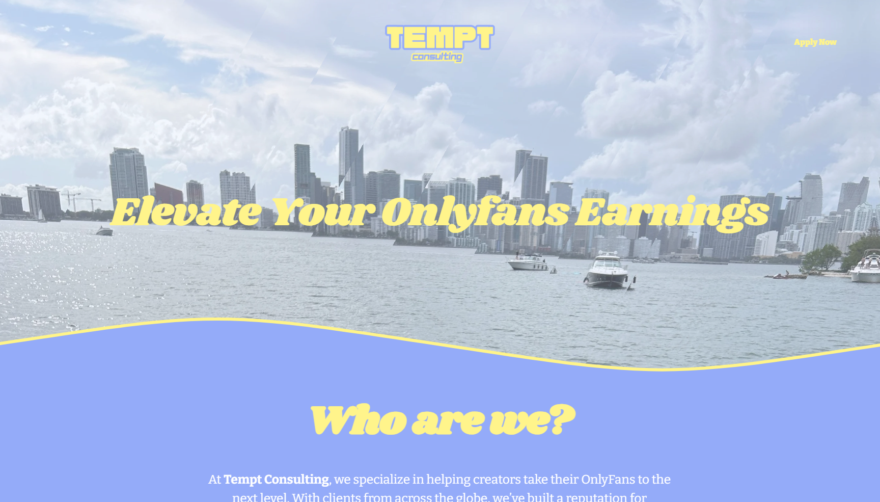 Tempt Consulting project screenshot